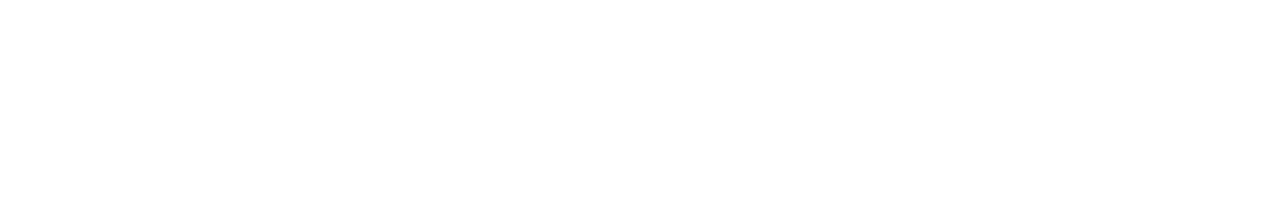 Stipendiumscoach